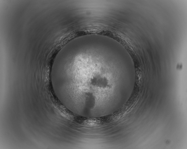 X0000100370745200806131037