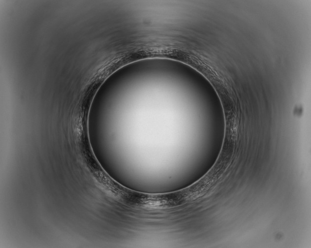 X0000100370746200806131037