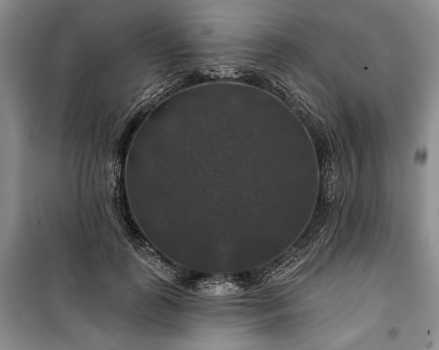 X0000100370747200806131037