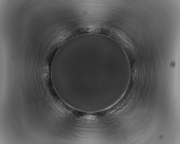 X0000100370748200806131037