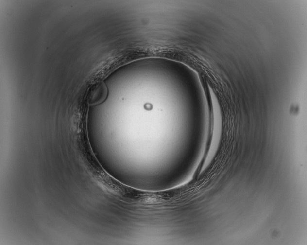 X0000100370750200806131037