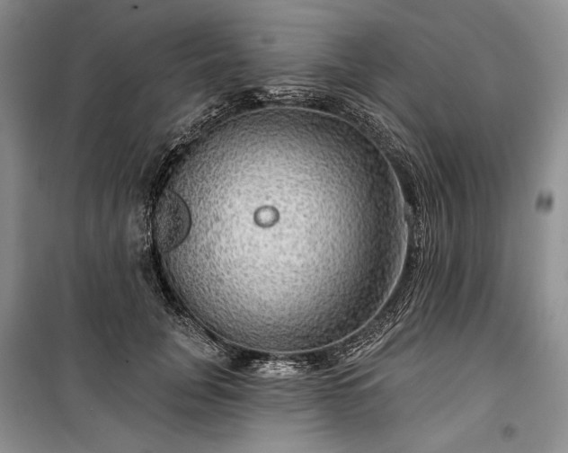 X0000100370751200806131037