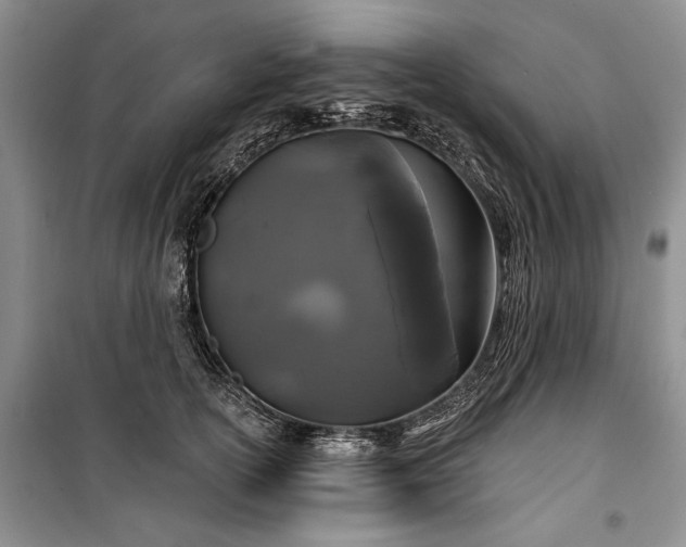 X0000100370754200806131037