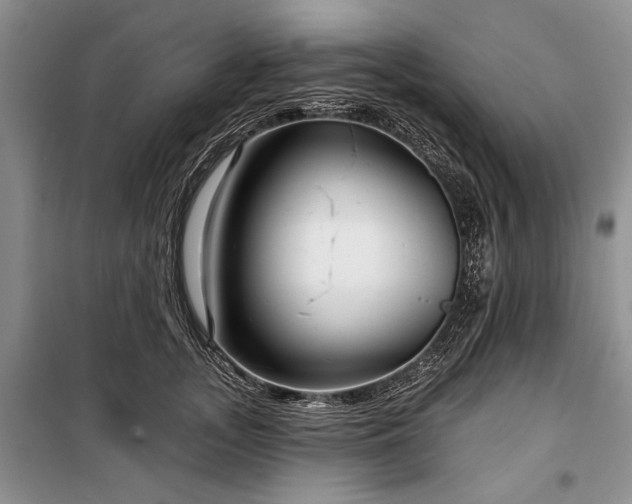 X0000100370755200806131037