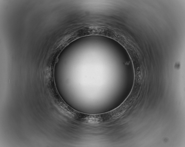 X0000100370756200806131037