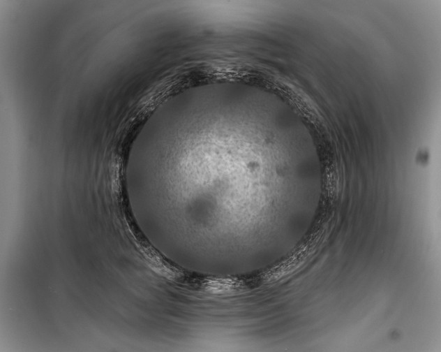 X0000100370757200806131037