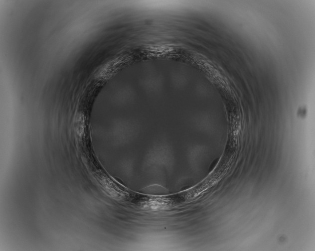 X0000100370758200806131037