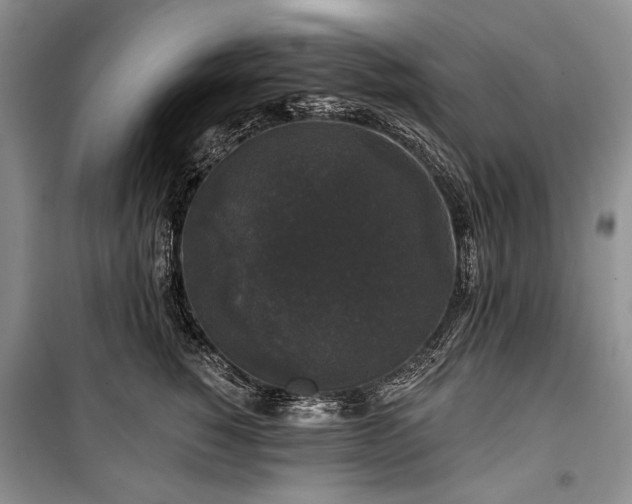 X0000100370760200806131037