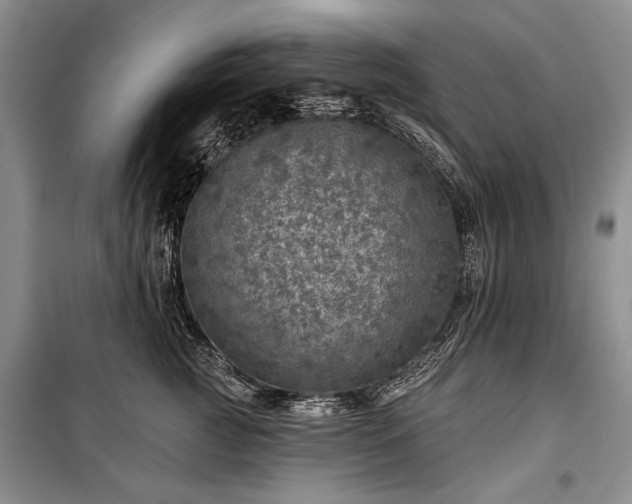 X0000100370761200806131038