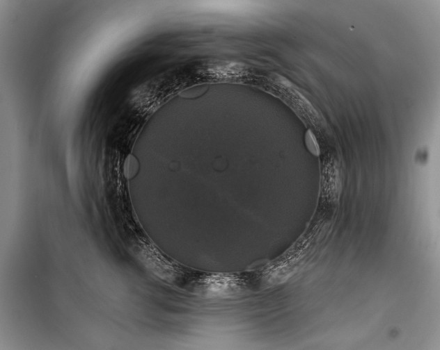 X0000100370762200806131038