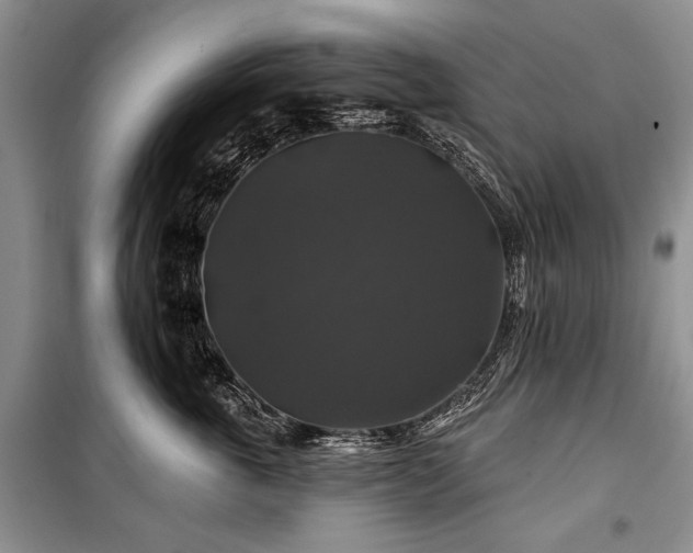 X0000100370763200806131038