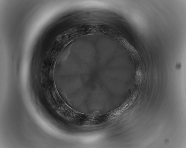 X0000100370765200806131038