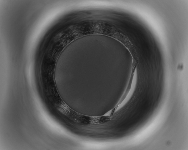 X0000100370766200806131038