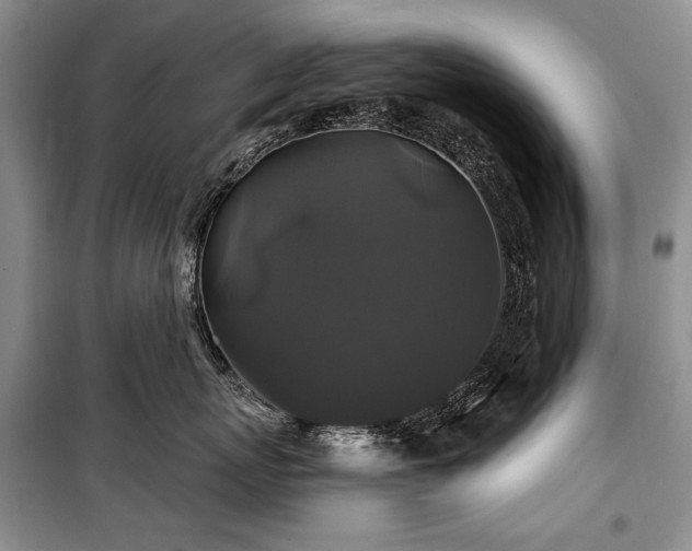 X0000100370767200806131038