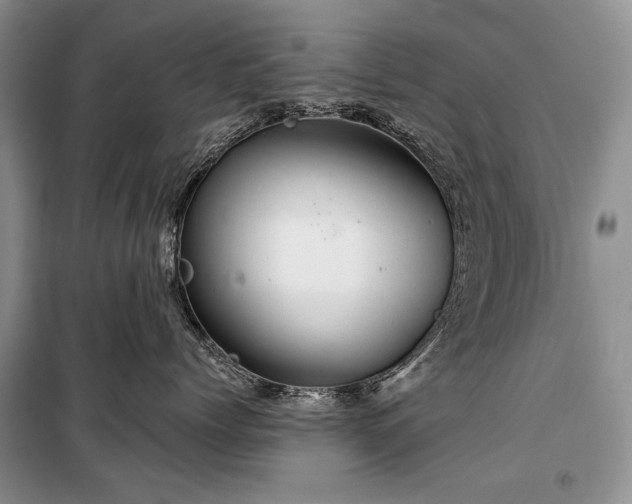 X0000100370768200806131038