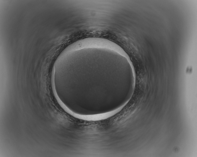 X0000100370769200806131037