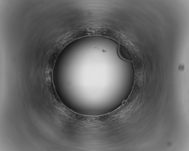 X0000100370770200806131037