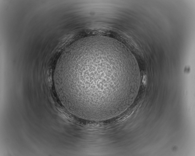 X0000100370771200806131037