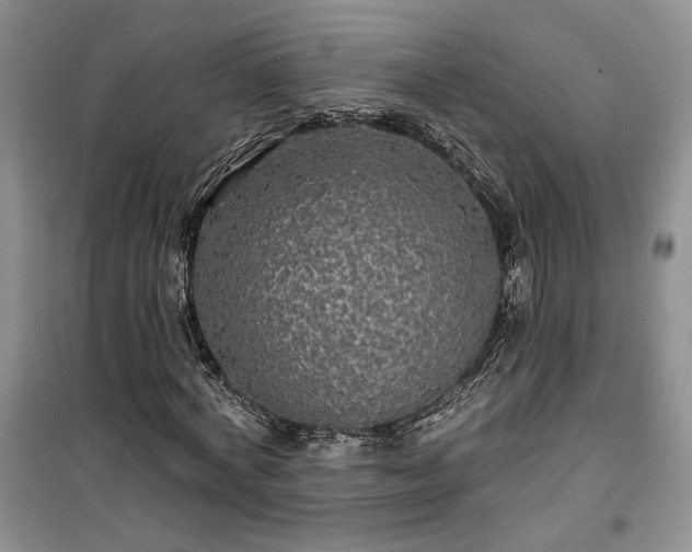 X0000100370772200806131037