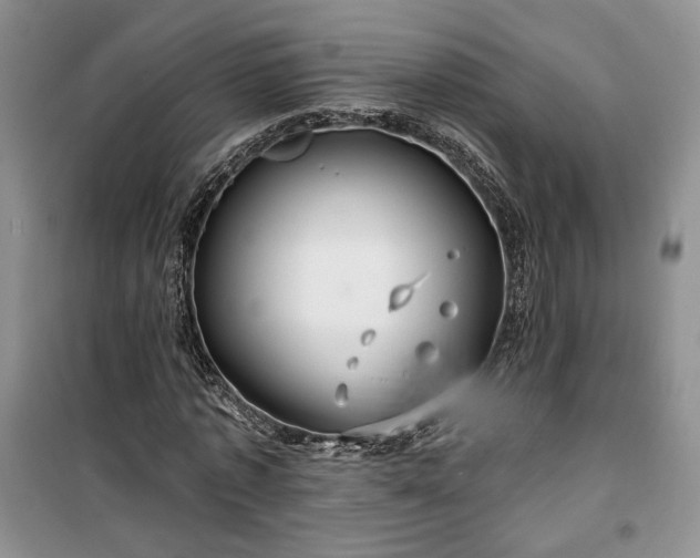 X0000100370773200806131037