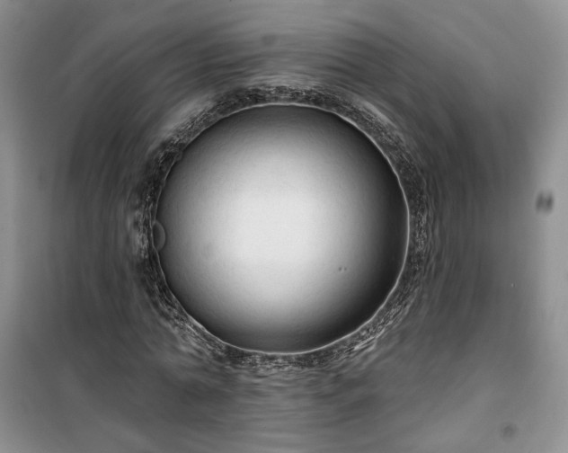 X0000100370774200806131037