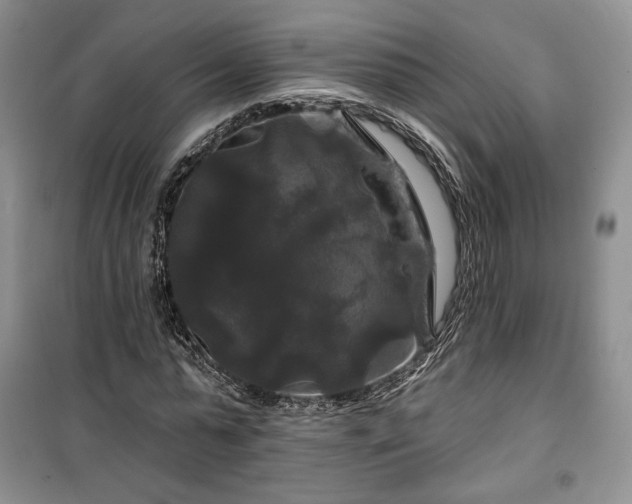 X0000100370775200806131037