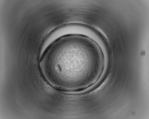 X0000100370777200806131037