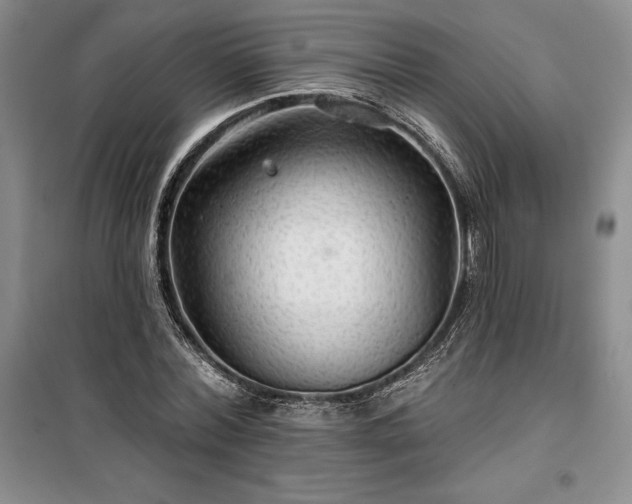 X0000100370780200806131037