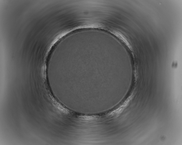 X0000100370781200806131037