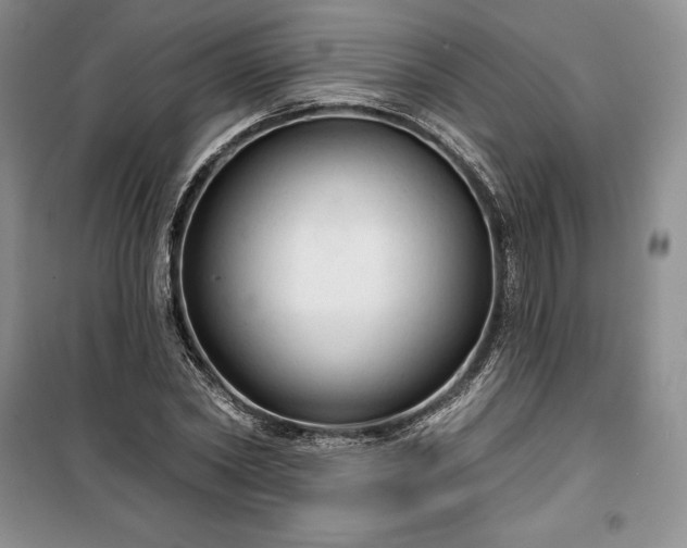 X0000100370782200806131037