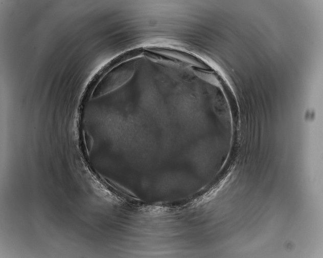 X0000100370783200806131037