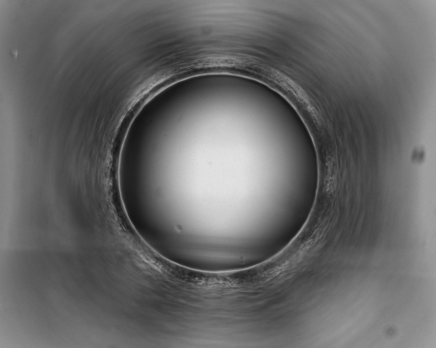 X0000100370786200806131037