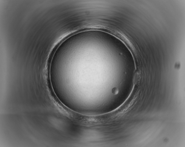 X0000100370787200806131037