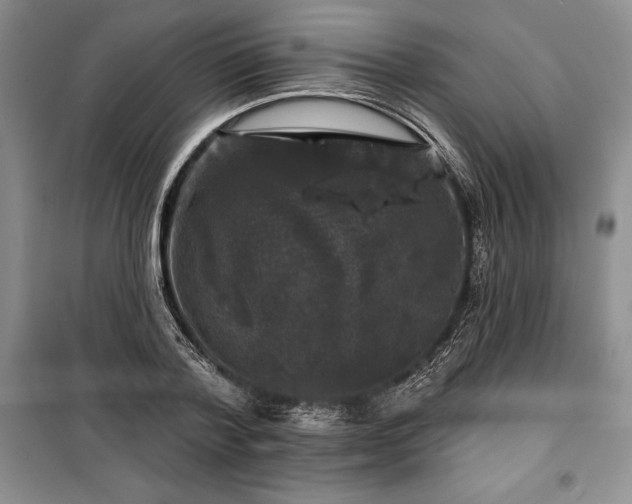 X0000100370788200806131037