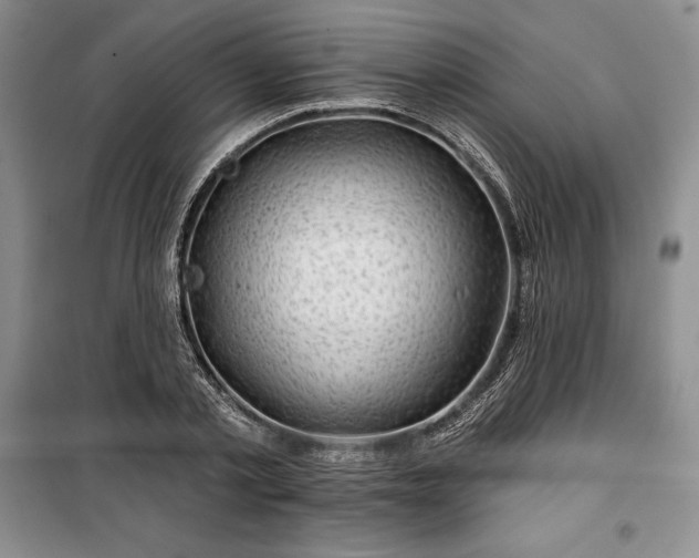 X0000100370789200806131037