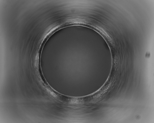 X0000100370790200806131037