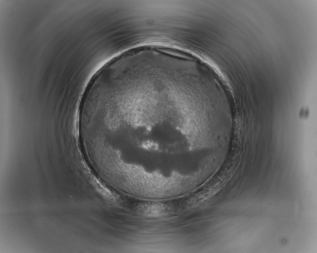 X0000100370791200806131037