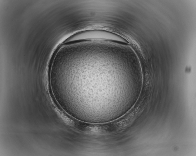 X0000100370792200806131037