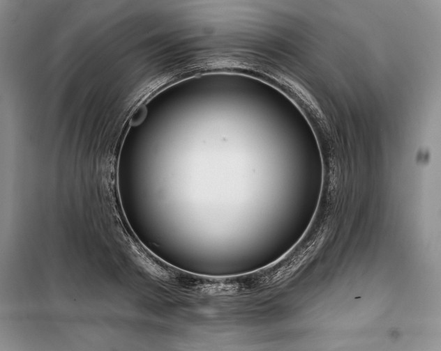 X0000100370793200806131037