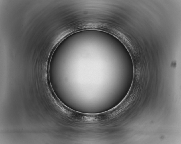 X0000100370794200806131037