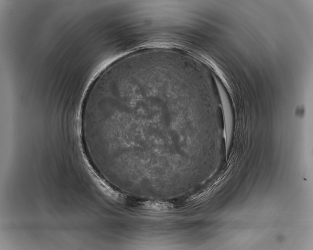 X0000100370795200806131037