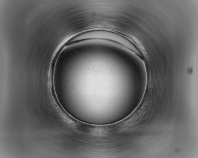 X0000100370796200806131037