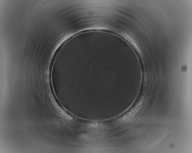 X0000100370797200806131037