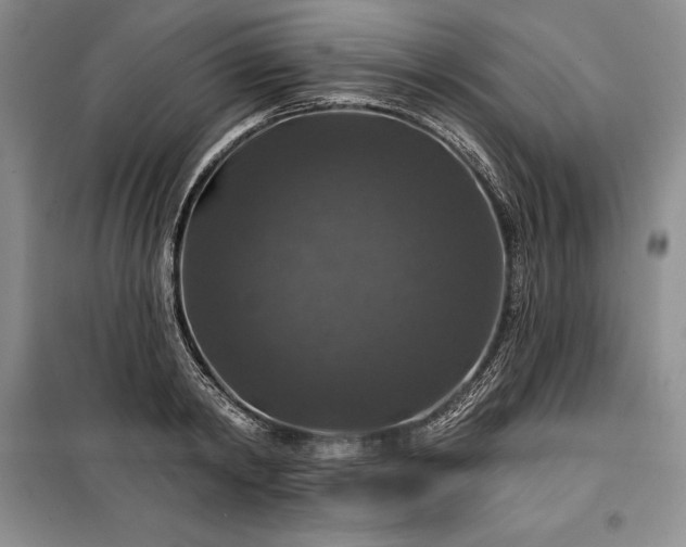 X0000100370798200806131037