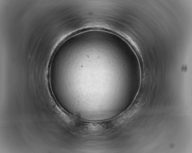 X0000100370799200806131037