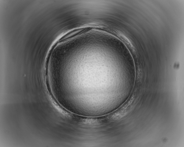 X0000100370800200806131037