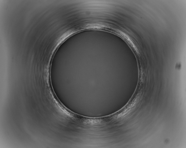 X0000100370802200806131036