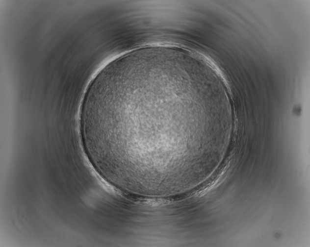 X0000100370803200806131036