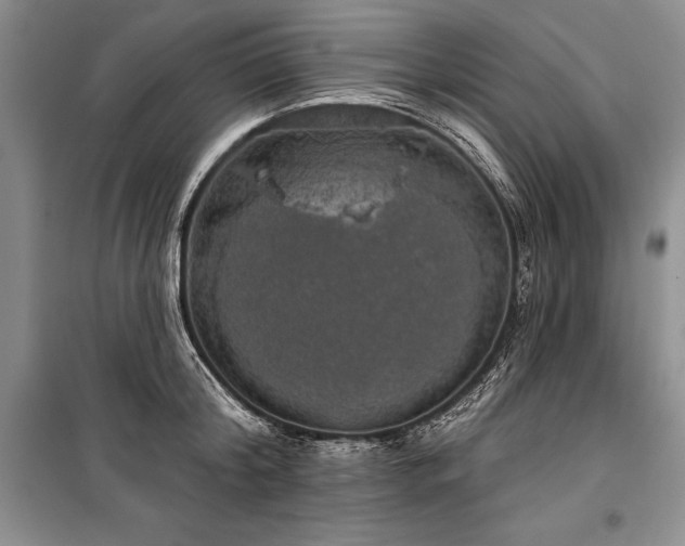 X0000100370804200806131036