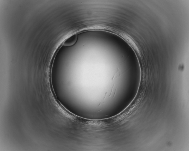 X0000100370805200806131036